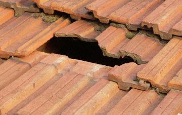 roof repair Littletown