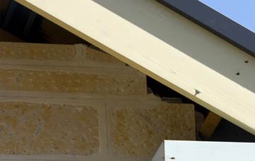 soffit repair Littletown